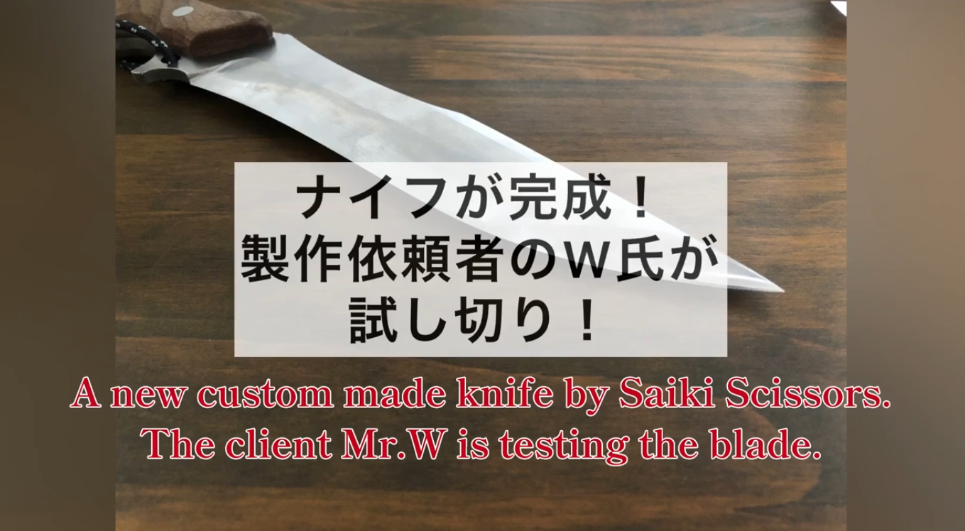 動画を読み込む: 